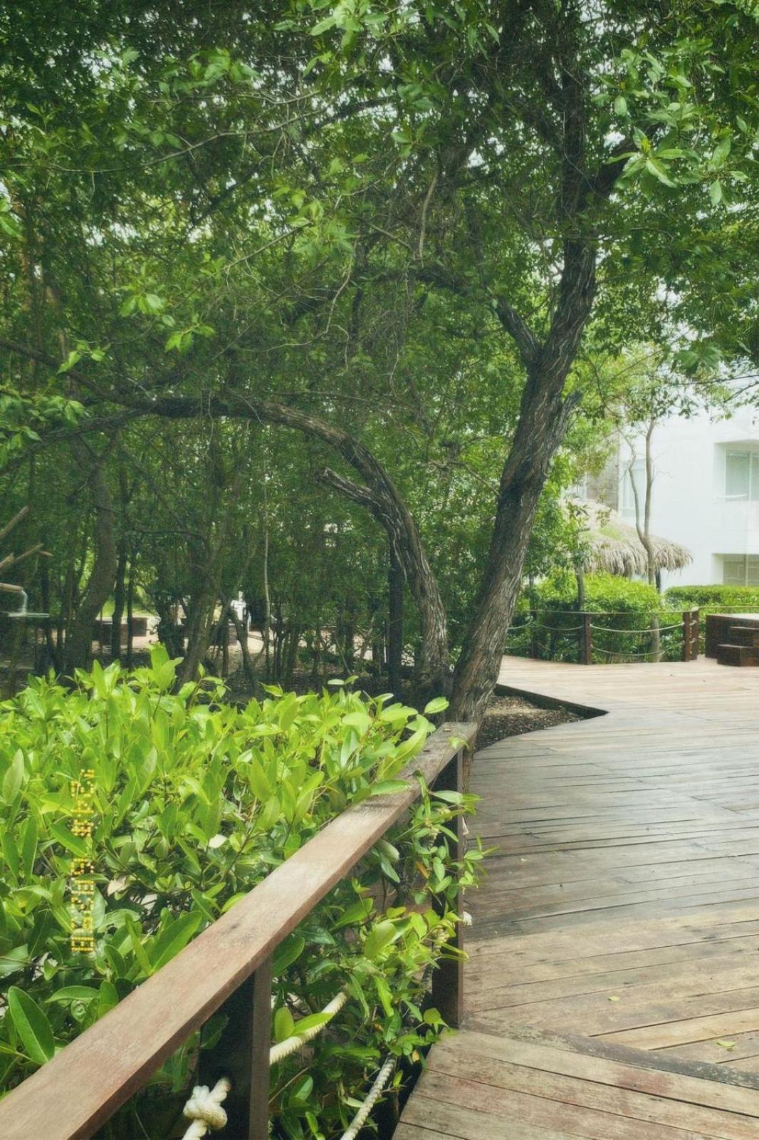 Santo Manglar Cartagena Life Wellness Spa Hotel Luaran gambar